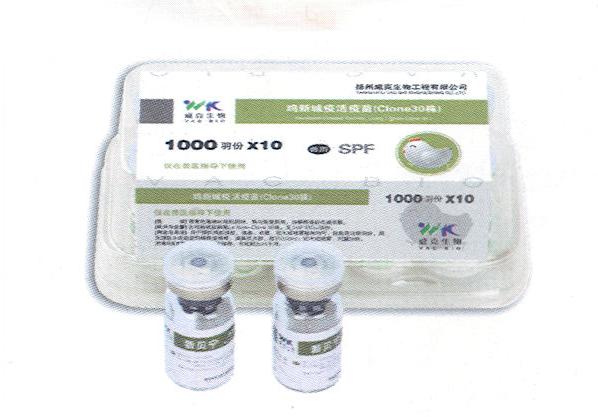 雞新城疫活疫苗（Clone30株）